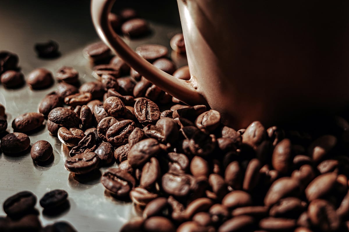 Vietnam Coffee Exports Reach Record $8.5 Billion